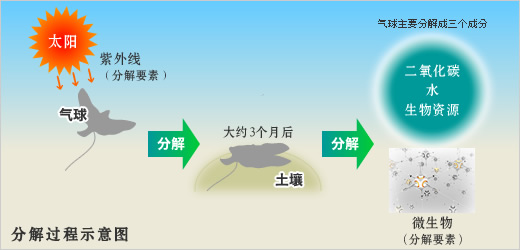 分解过程示意图