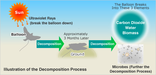 Illustration of the Decomposition Process